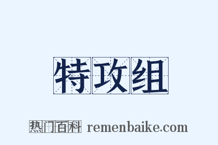 特攻组是什么意思的图片